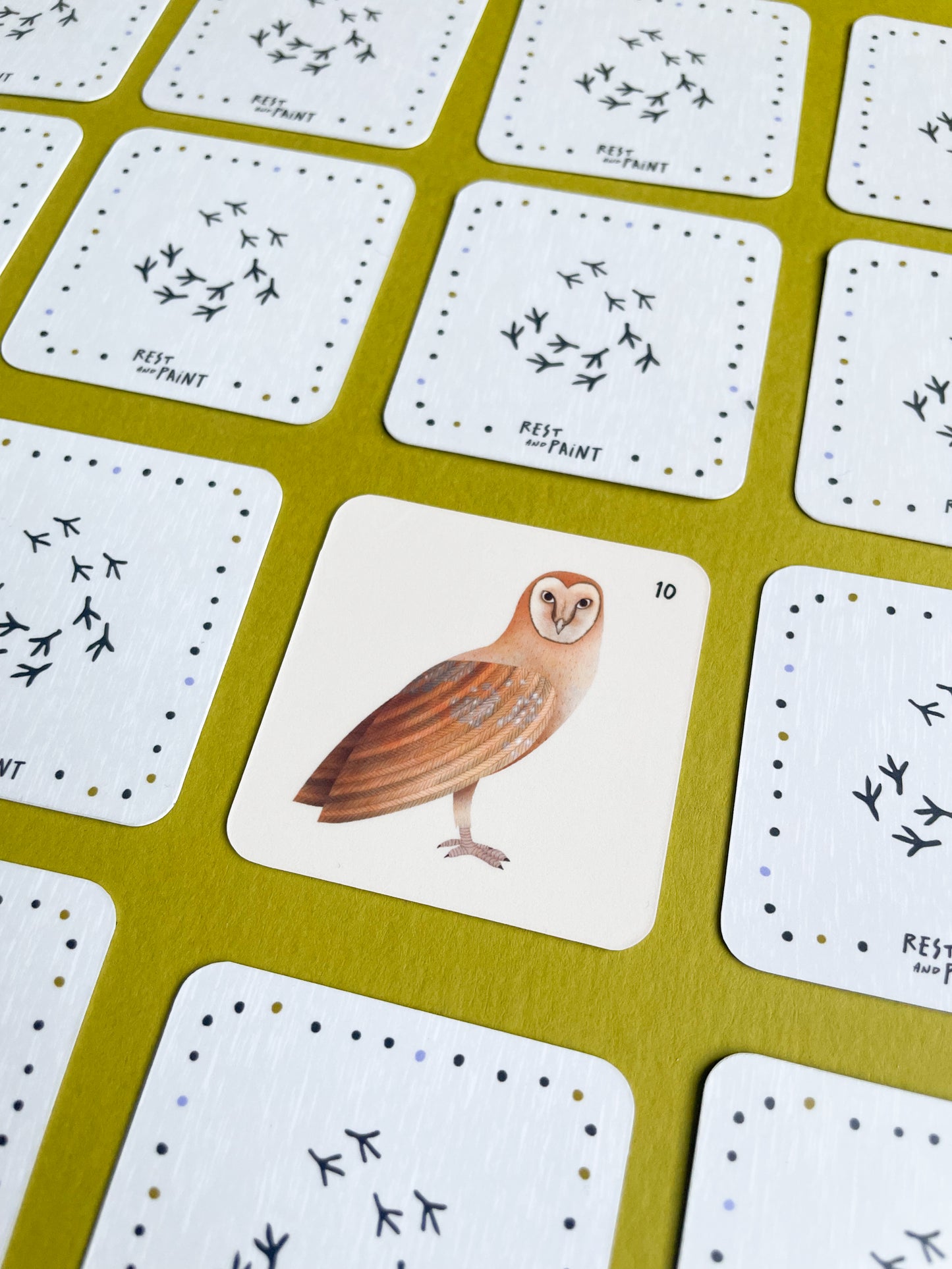 Memory Game - Birds