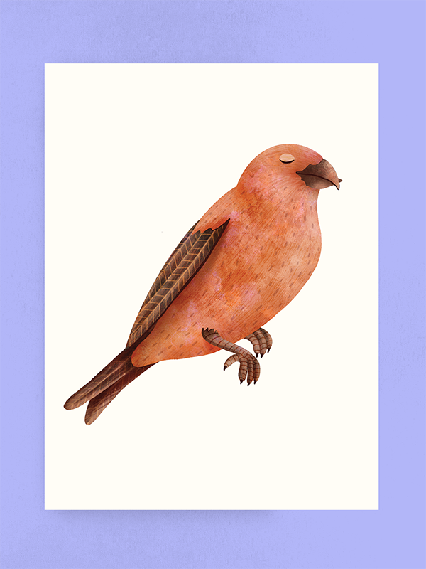 Red Crossbill, Art Print