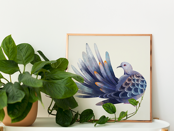Turtle dove, Art Print