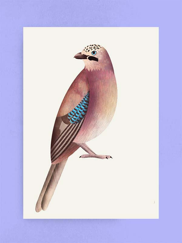Eurasian Jay, Art Print