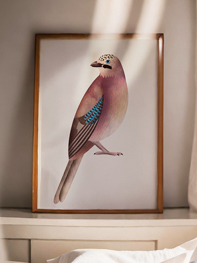 Eurasian Jay, Art Print