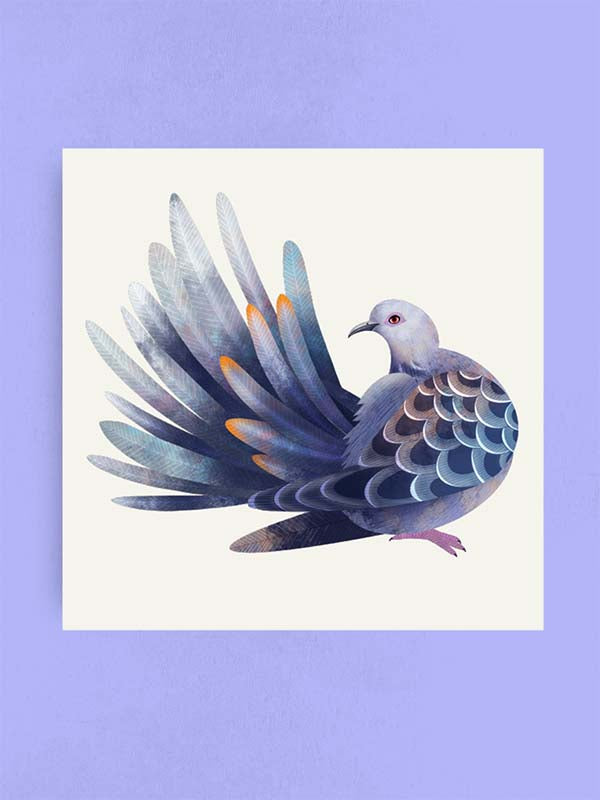 Turtle dove, Art Print