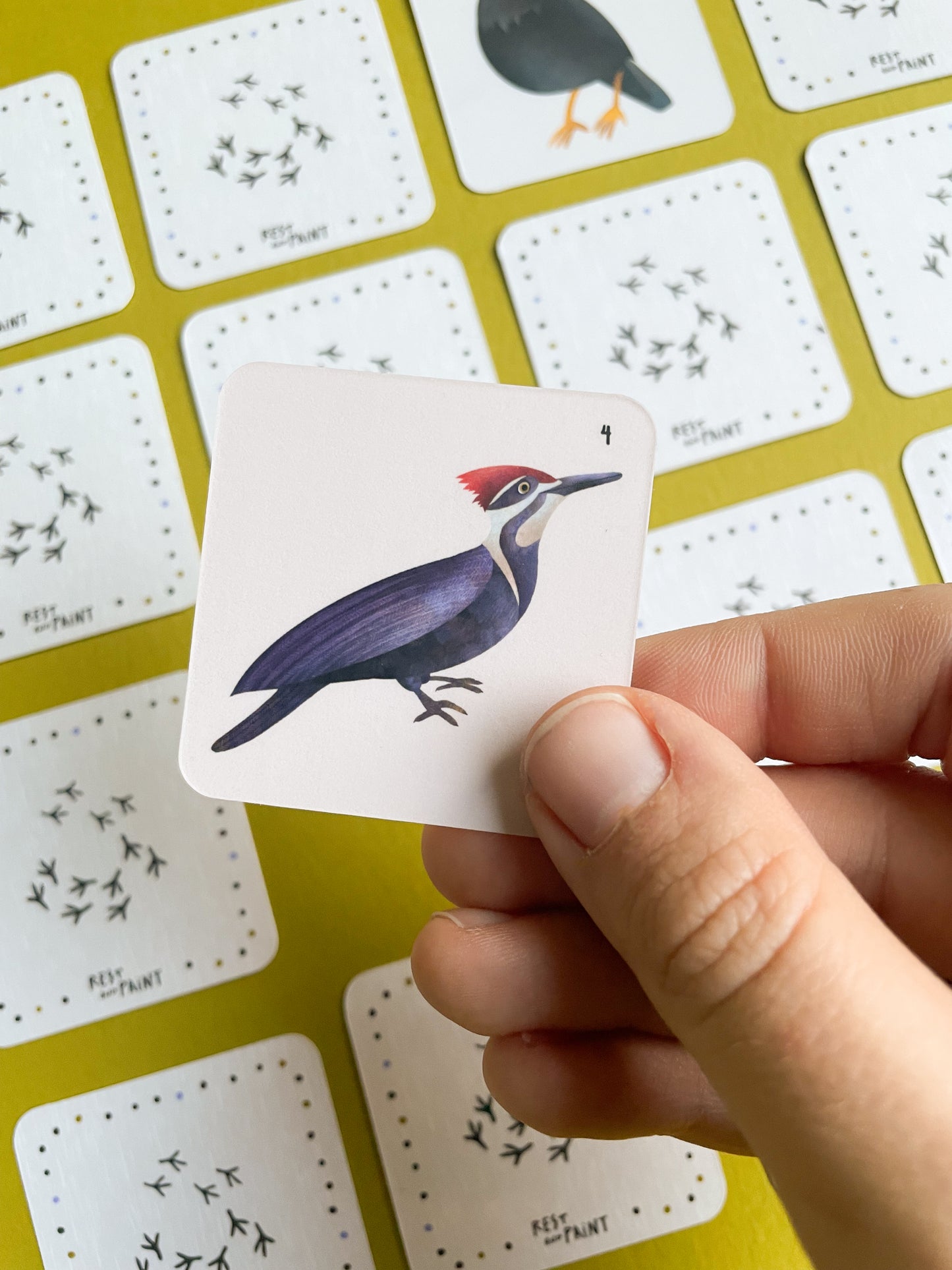 Memory Game - Birds