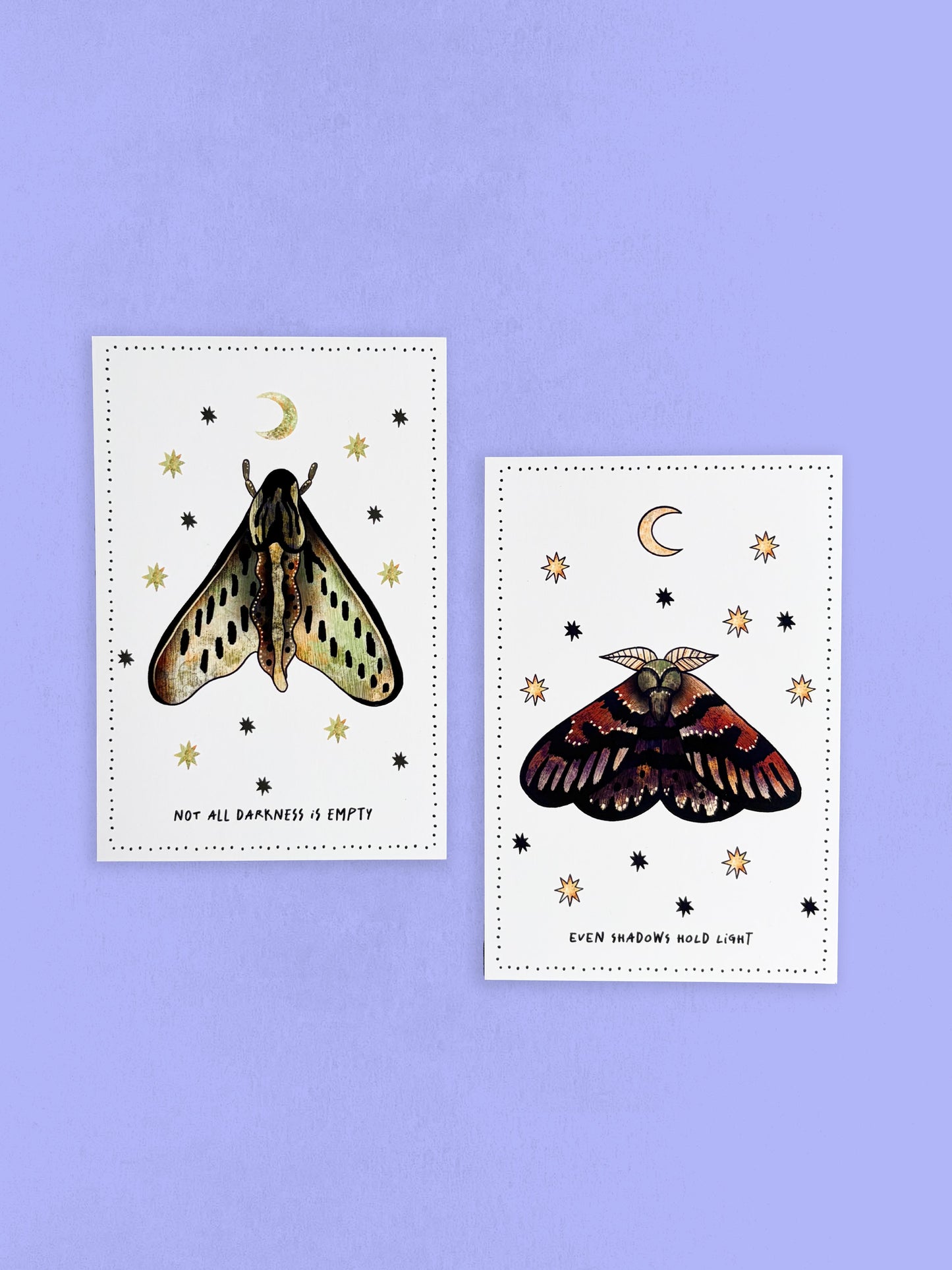 Postcard - Moths