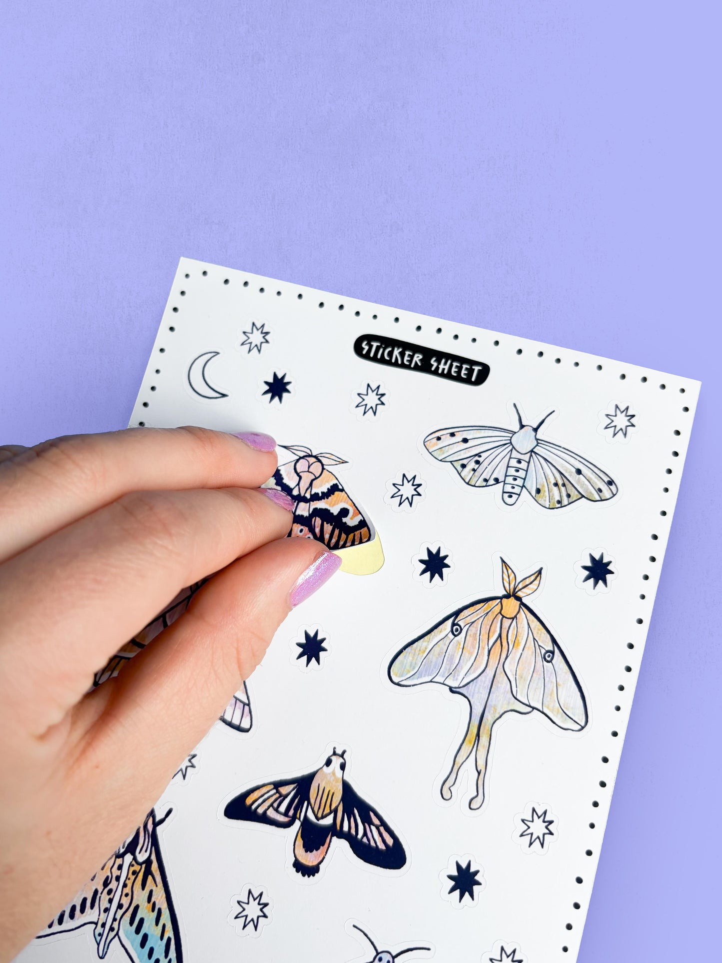 Sticker Sheet - Moths
