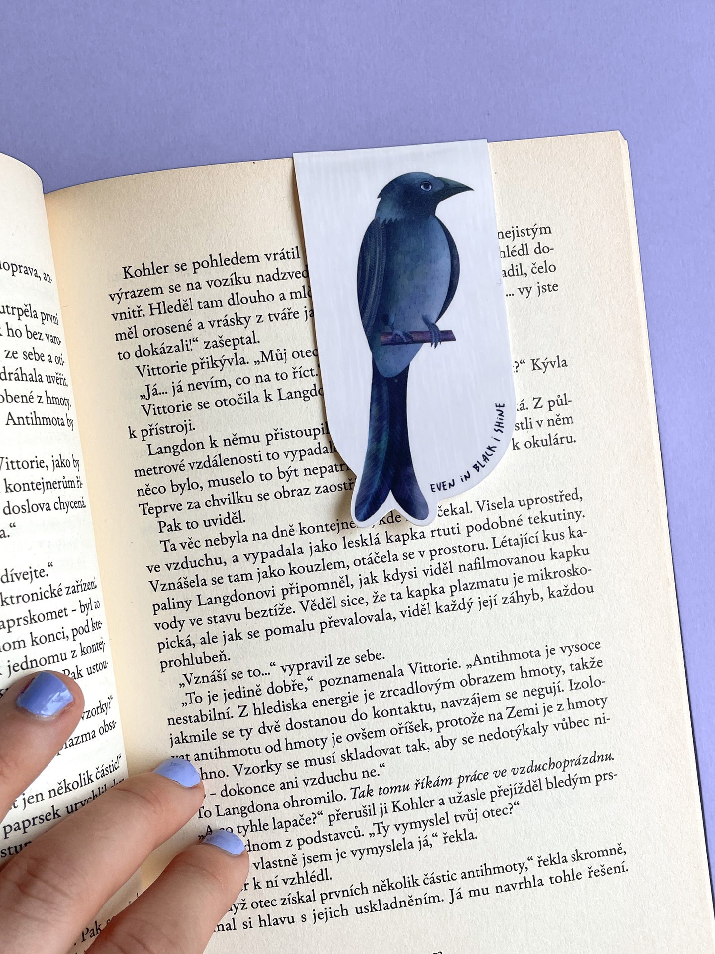 Ptačí magnetické záložky Sojka a Drongo - Sada 2 ks
