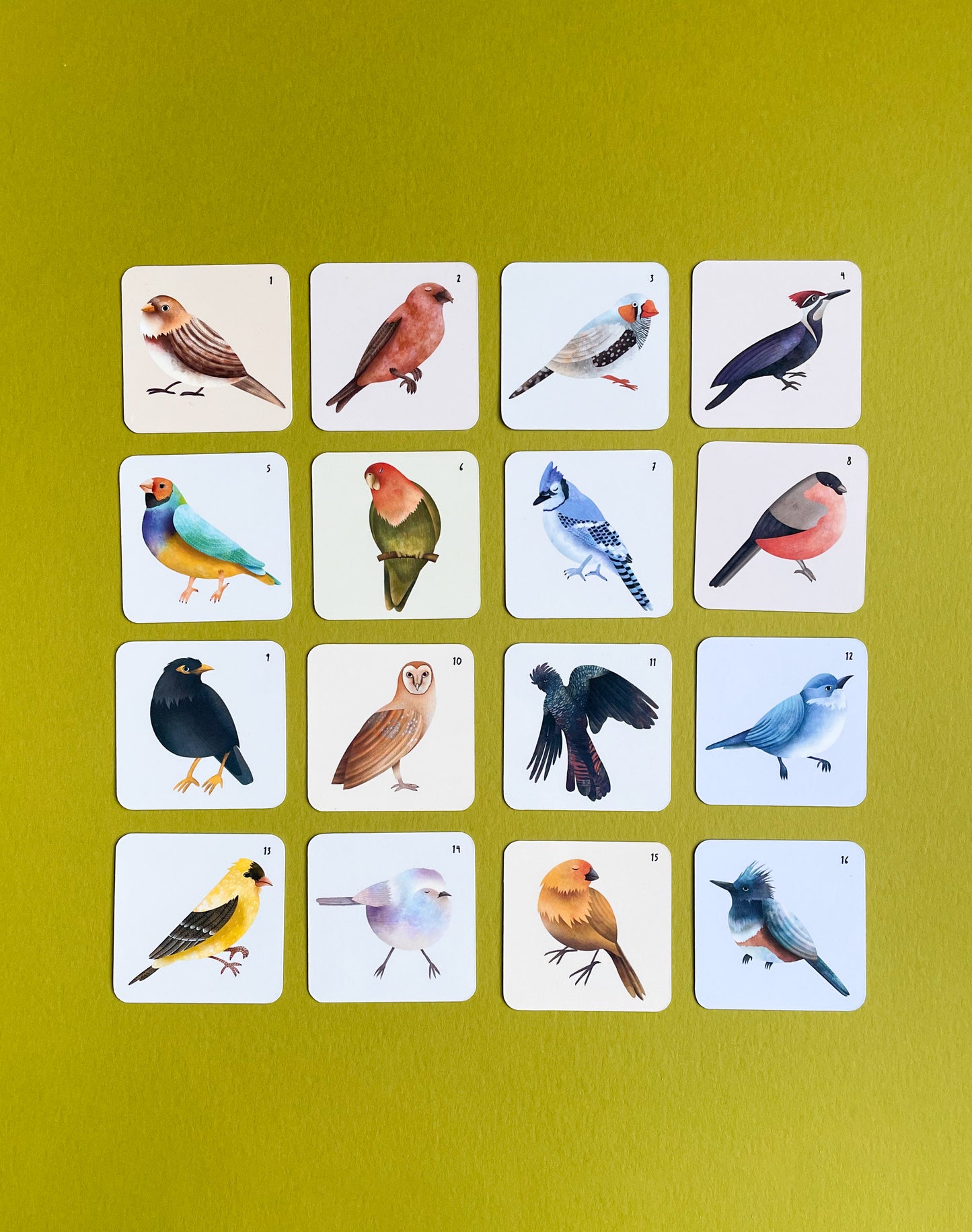 Memory Game - Birds