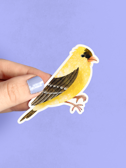Vinyl Sticker - American Goldfinch