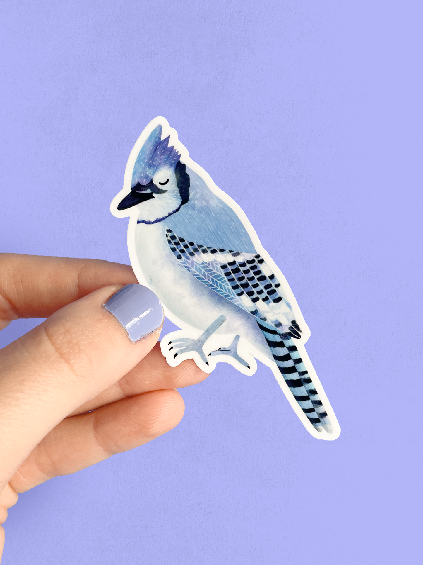 Vinyl Sticker - Blue Jay
