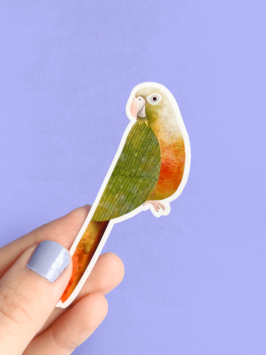 Vinyl Sticker - Conure