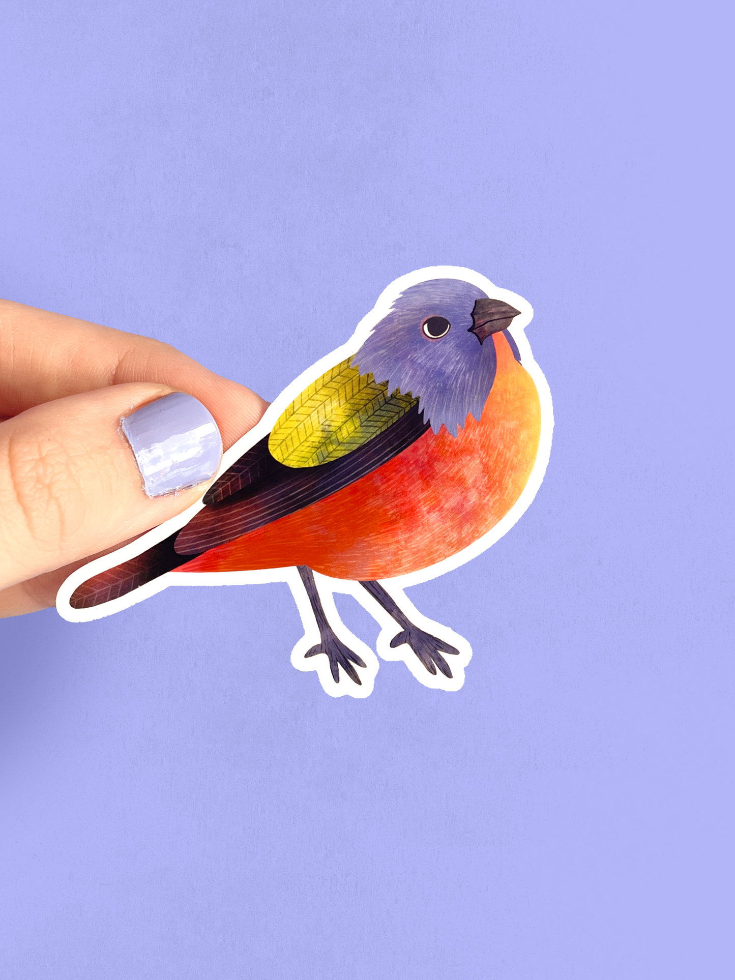 Vinyl Sticker - Painted Bunting