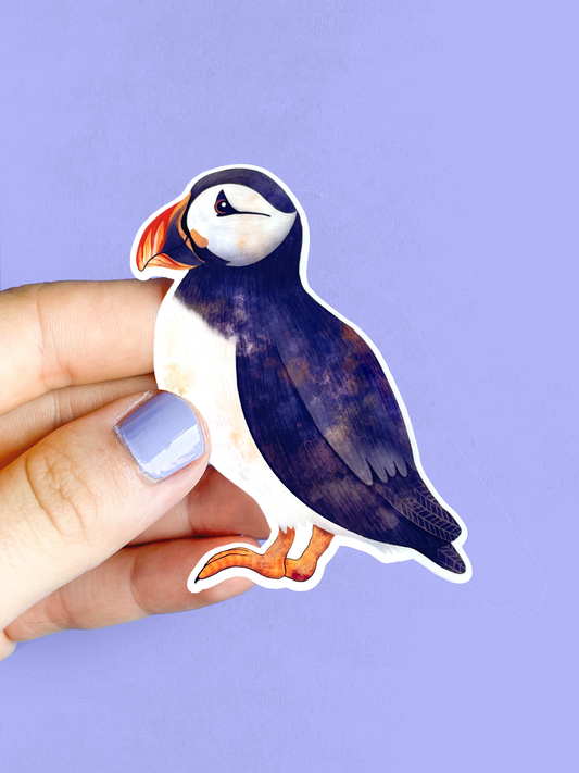 Vinylová Samolepka - Papuchalk