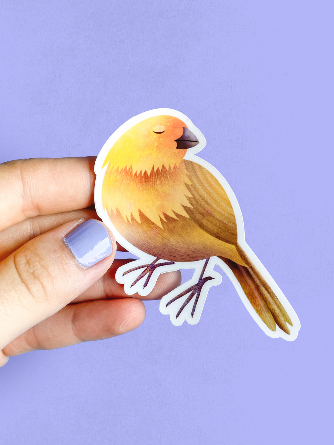 Vinyl Sticker - Saffron Finch – Rest and Paint