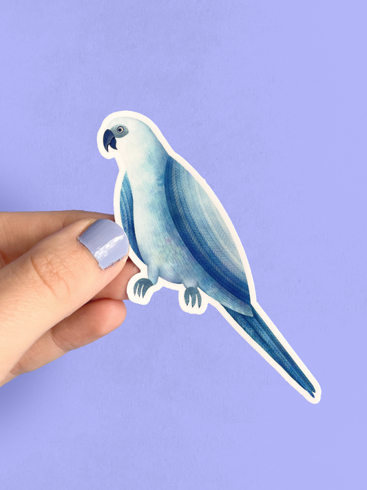 Vinyl Sticker - Spix's Macaw
