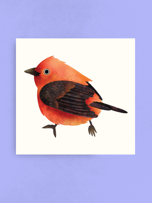 Scarlet Tanager, Art Print