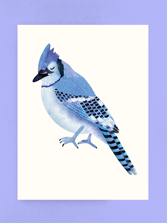 Blue Jay, Art Print