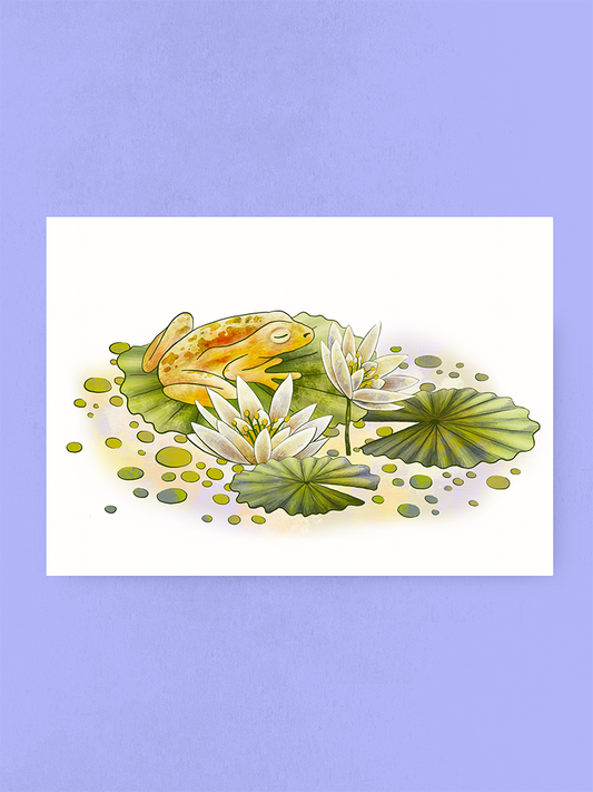 Lovely Frog, Art Print
