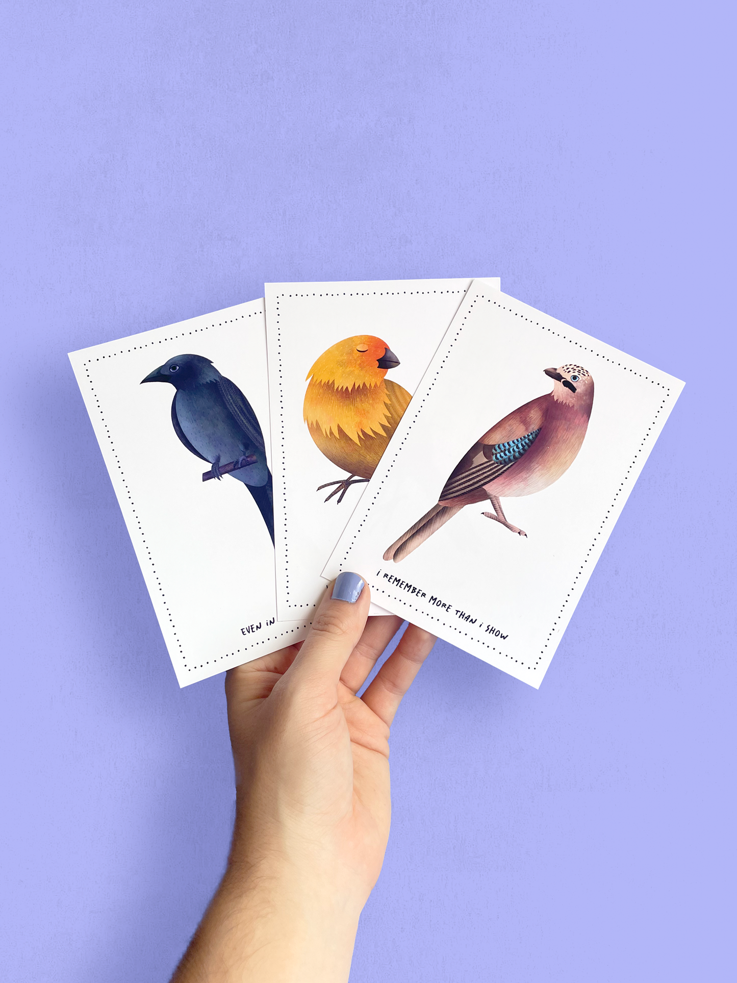 Postcard - Birds