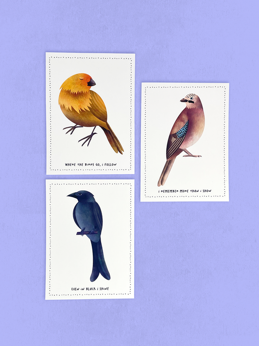 Postcard - Birds