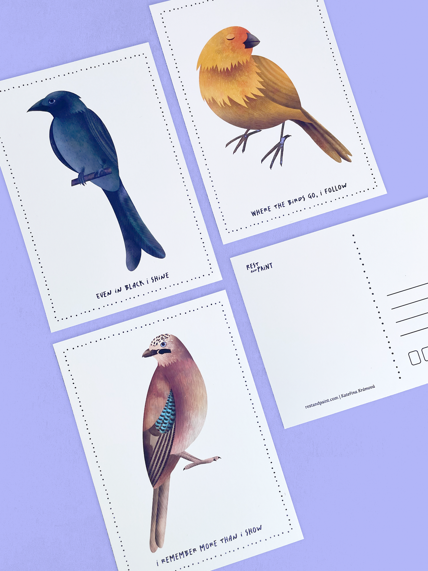 Postcard - Birds