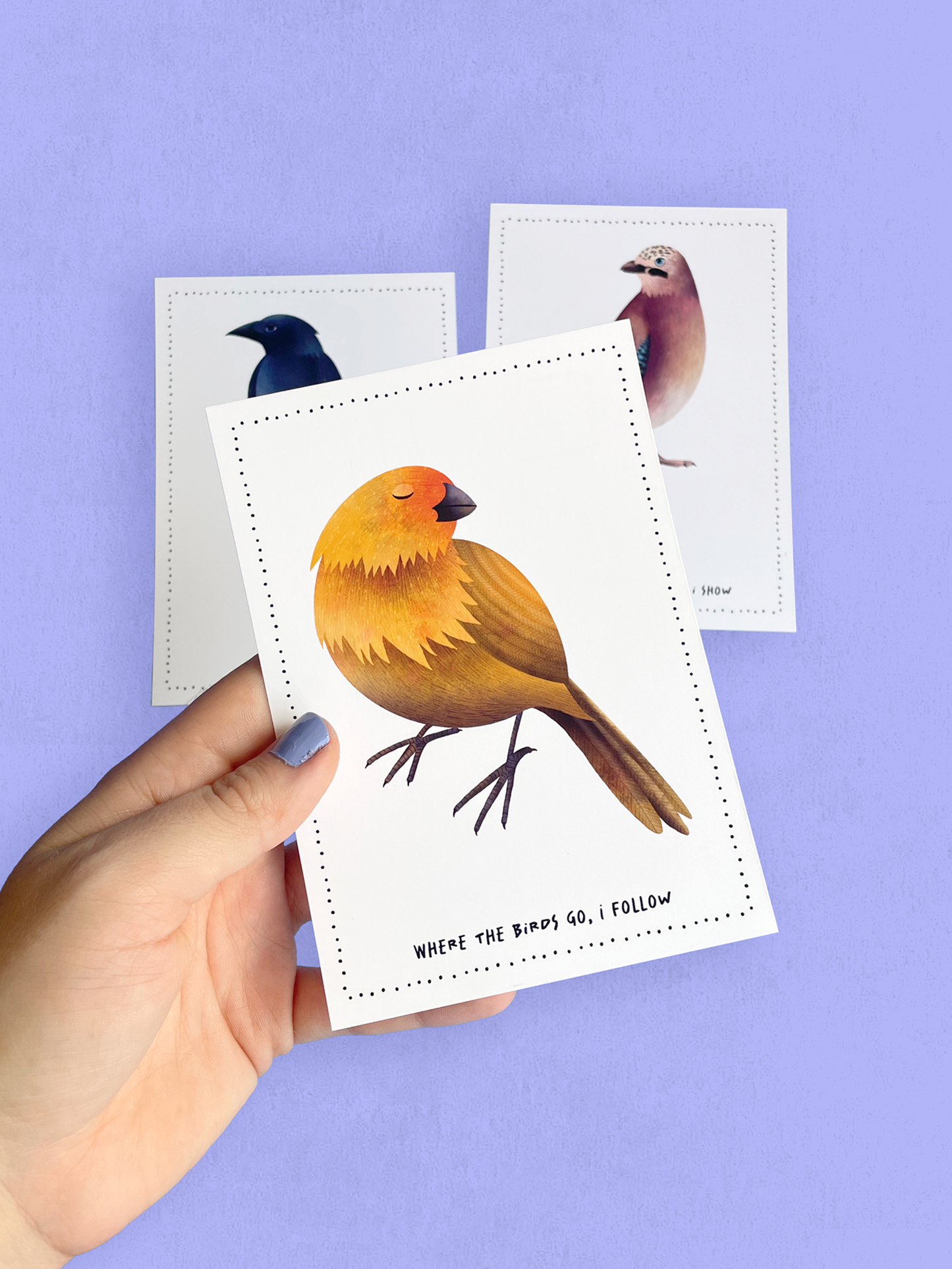 Postcard - Birds