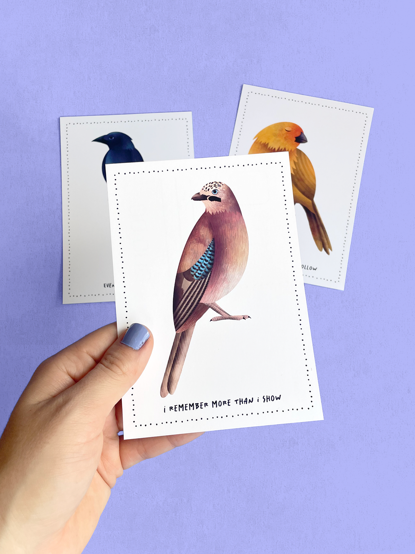Postcard - Birds