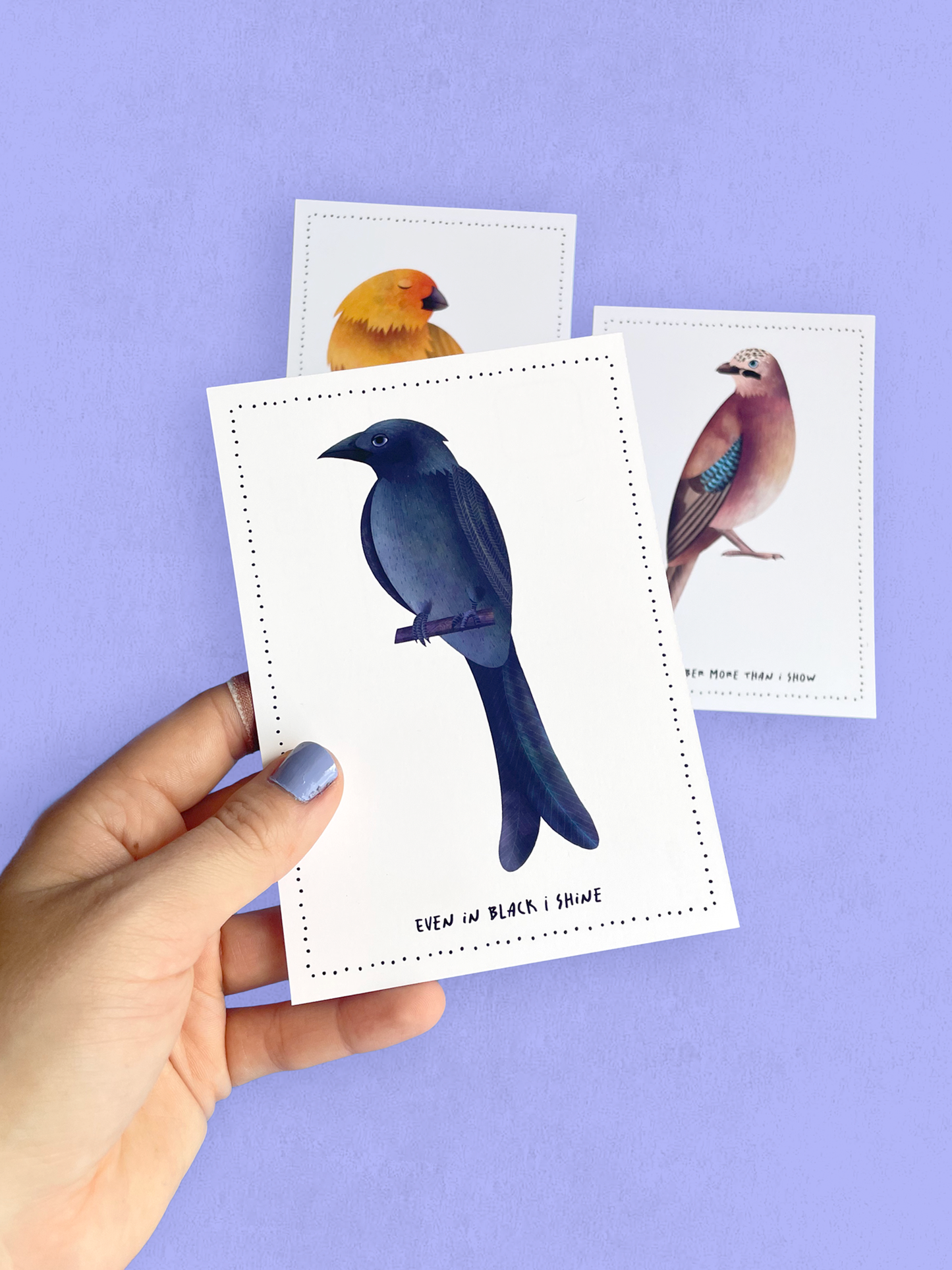 Postcard - Birds